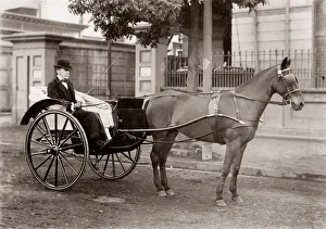 Idian Prints: India - European man with a pony and trap