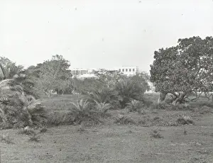 Madras Prints: India - Government House from the Park, Madras