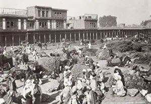 India - halt of a camel caravan, Peshawar, Khyber Pass