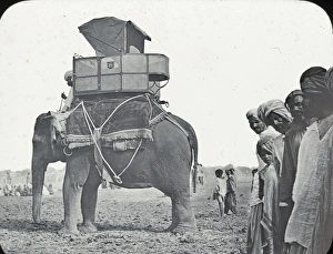 A 19th century hunt