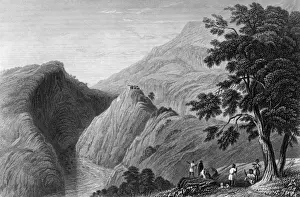 India Kasauli