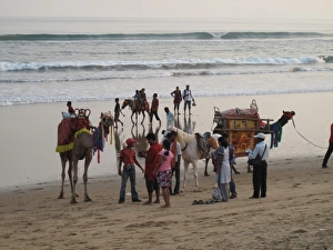 Images Dated 29th September 2011: India, Orissa, Puri