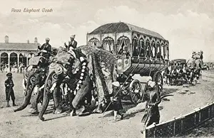 India - Rewa Elephant Coach