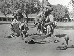 India - Snake-charmer and Cobras, Jeypore