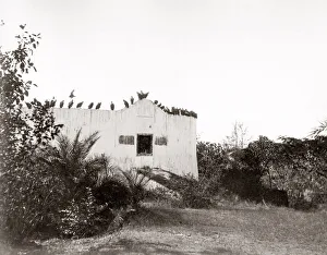 India - Tower of Silence excarnation Bombay Mumbai