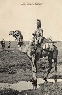 Cavalryman Prints: Indian Camel Cavalry