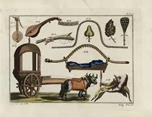 Palanquin Prints: Indian cart, palanquin, musical instrument, books, fans, etc