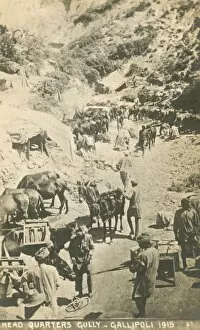 Indian (Commonwealth) troops at Gallipoli