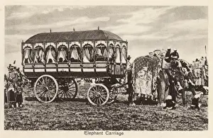 Spoked Prints: Indian Elephant Carriage - India