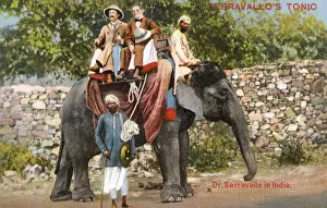 Tonic Prints: Indian Elephant taking Doctor Serravallo for a ride
