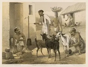 Indian Farmyard 1860
