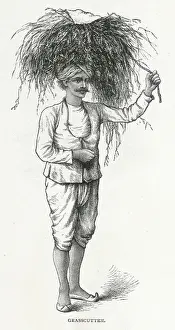 1891 Prints: Indian Grass Cutter