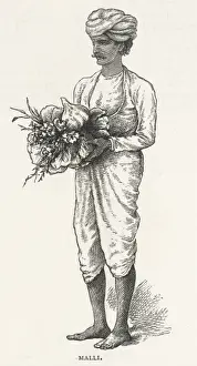 Indian Malli
