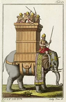 Indians Collection: Indian Military Elephant