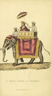 Indian nobleman on a palanquin on an elephant