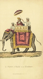 Indian nobleman on a palanquin on an elephant Indian nobleman on a palanquin on an elephant