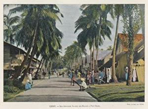 Andaman Gallery: Indian Ocean / Andaman Isl