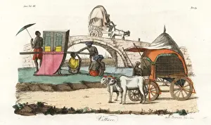 Palanquin Prints: Indian sedan chair, wagon and carriage
