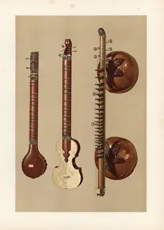 Williamgibb Prints: Indian sitars and a vina with large soundboxes