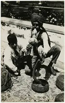 Cobra Prints: Indian Snake Carmer - Singapore, Malaysia