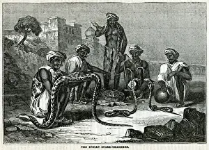Indian snake-charmers