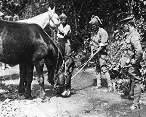 Indian soldiers watering mules, Western Front, WW1