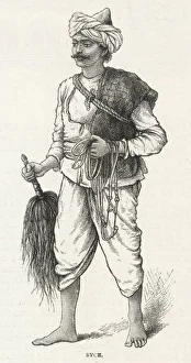 Indian Syce
