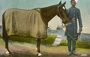 Indian Syce Groom C1905