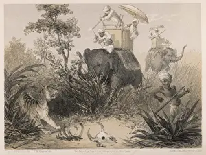 Effective Prints: Indian Tiger Hunt 1860