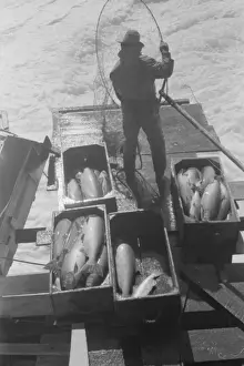 Oregon Prints: Indians fishing for salmon, Celilo Falls, Oregon