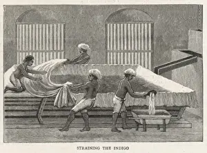 Indigo Factory / India