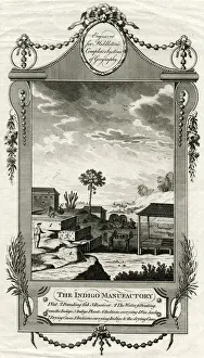 1770s Prints: Indigo manufactory in India