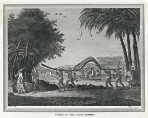 Palanquin Prints: Indonesian Palanquin