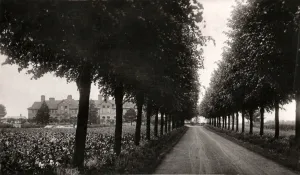 Begging Prints: Industrial School, Chelmsford, Essex