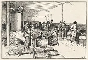 Industry / Textiles / Silk