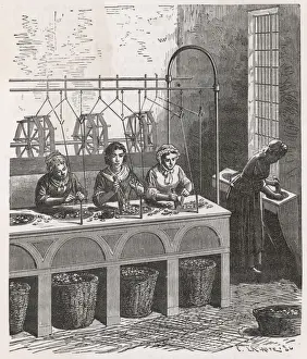 Industry / Textiles / Silk