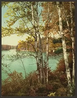 Adirondack Gallery: The Inlet, Spit-Fire Lake, Adirondack Mountains