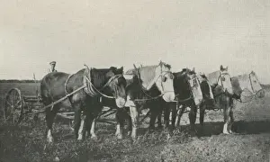 Former inmate of Claydon Training Centre