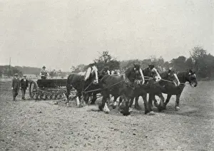 Inmate and Horses at Claydon Training Centre, Suffolk