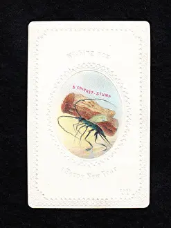 Insect carrying a stump on a New Year card