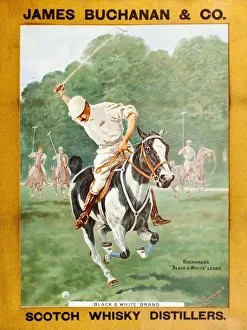 Onslow Auctioneers Prints: (insert)