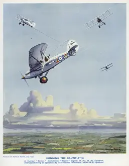 Kestrel Prints: Insert of cover design, Popular Flying