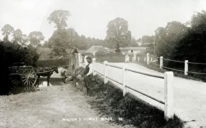 (insert description)