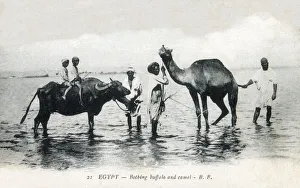 insertcaption Date: circa 1920s