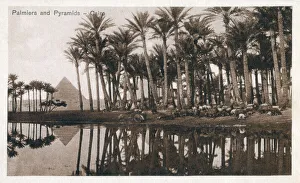 insertcaption Date: circa 1920s