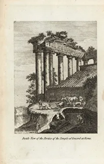 Barn Prints: Inside the ruins of the Temple of Concord, Rome