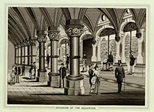Pillar Collection: Interior of the Aquarium, Brighton, Sussex
