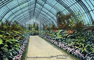 Interior of the Conservatory, Washington Park, Chicago