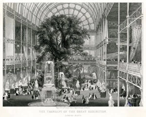 Images Dated 21st June 2019: Interior of the Great Exhibition of 1851