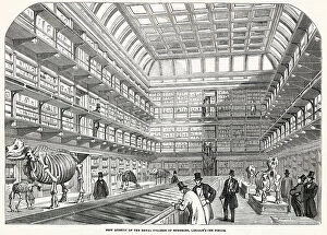 Museums Collection: Interior of the new museum, Royal College of Surgeons, located at Lincoln's Inn Fields in London